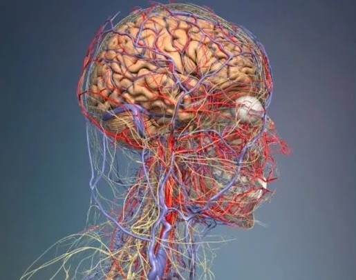 Почему очень сильно болит голова во время беременности