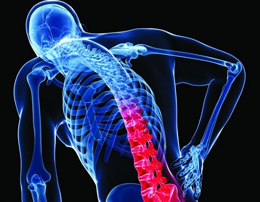 Болит спина за рулем. Что делать? Болит спина за рулем. Что делать?