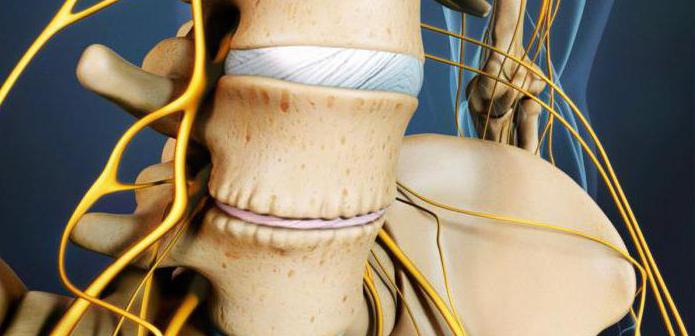 болит спина даже утром