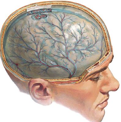 Может ли подняться температура из за болей в спине