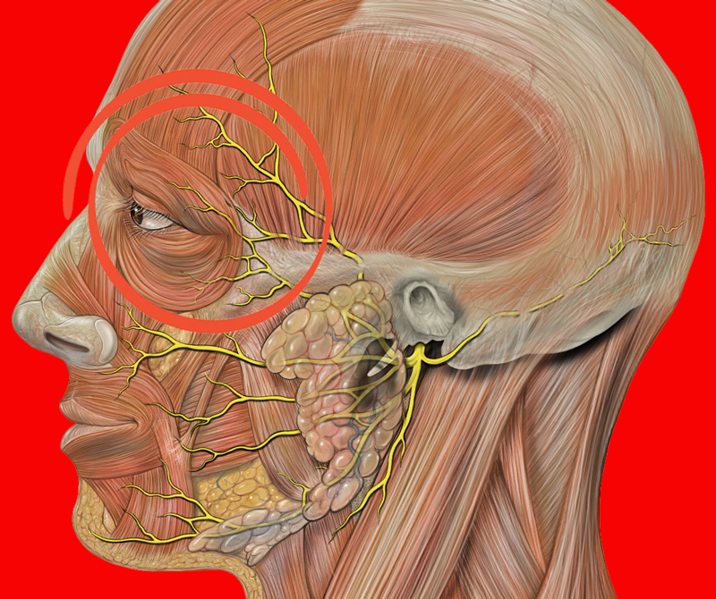 Если болит голова и давит на глаза: ЧТО делать Если болит голова и давит на глаза: ЧТО делать