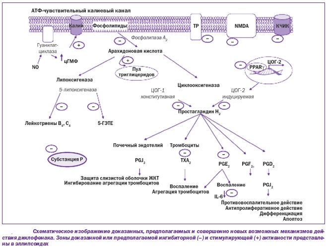 Действие диклофенака Действие диклофенака