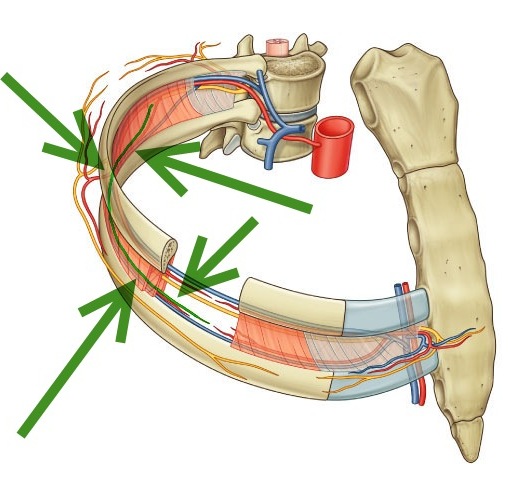 Болят ребра с двух сторон спереди и со спины