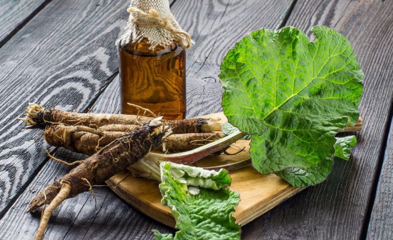 Настой корня лопуха Настой корня лопуха