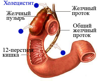 Очень болит правый бок и отдает в спину